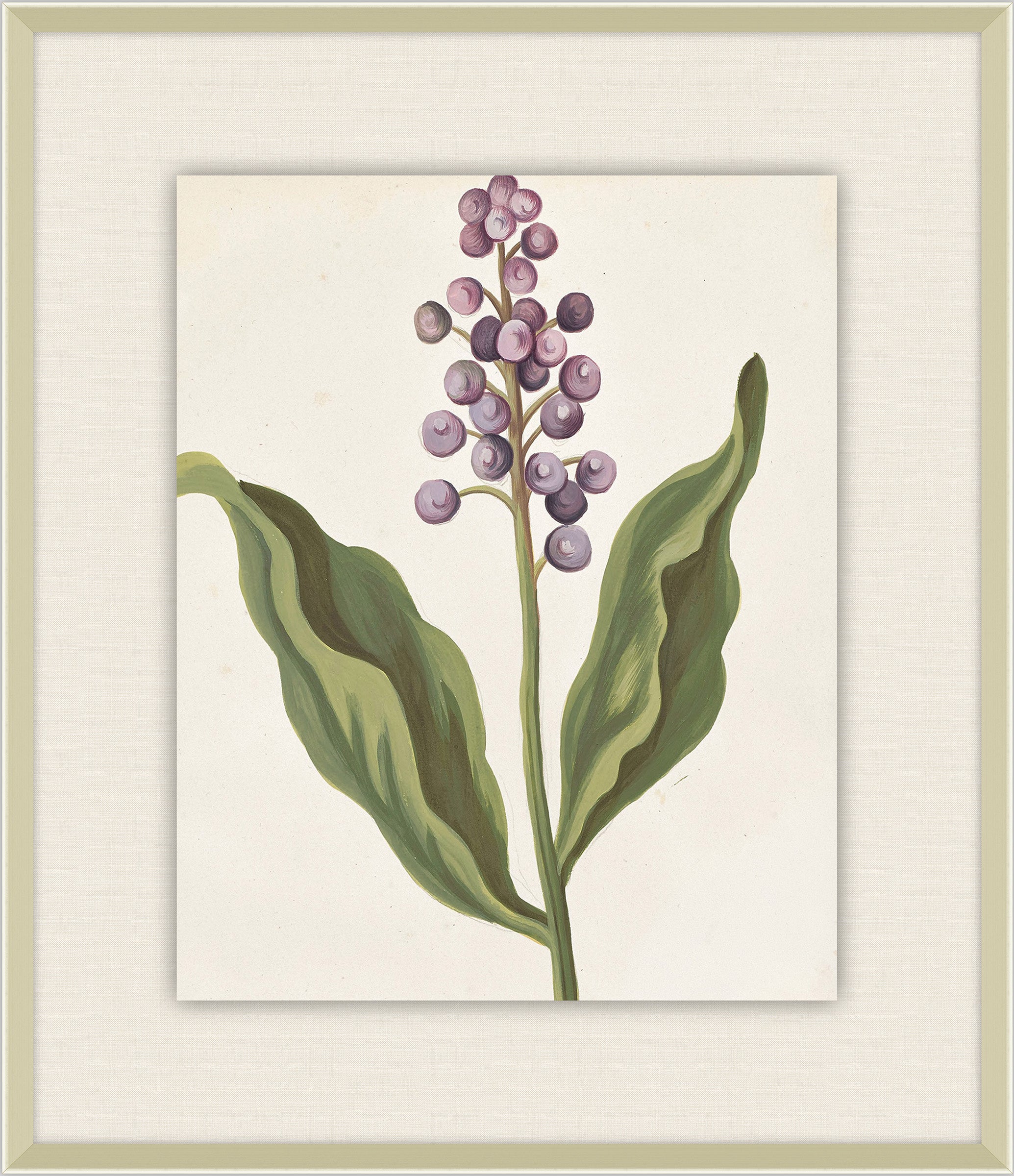 Belles Fleurs de Aubriet II, 1722