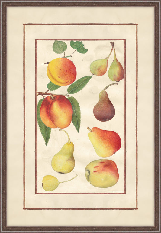 Peaches Pears and Figs