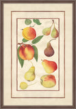 Peaches Pears and Figs