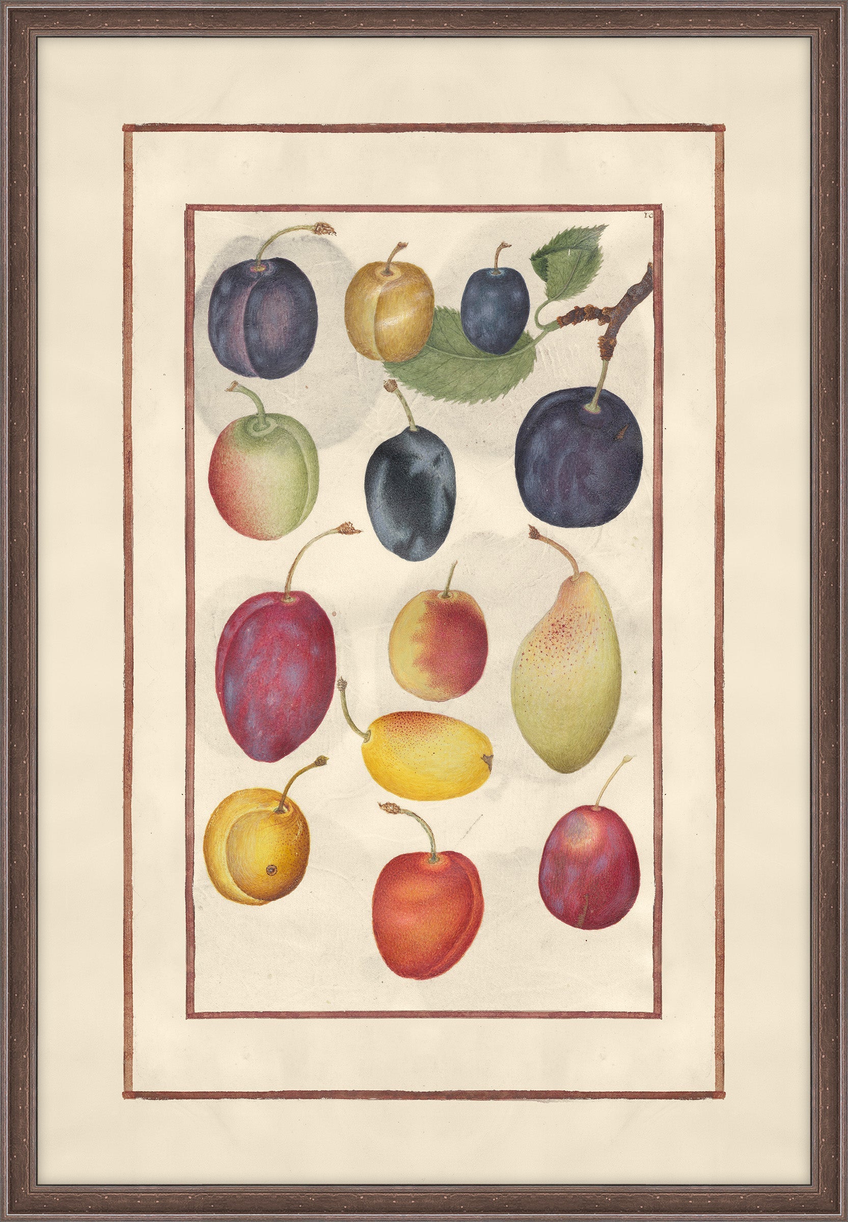 Plums with a Branch, Jean Le Roy de la Boissière