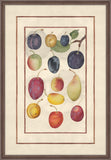 Plums with a Branch, Jean Le Roy de la Boissière
