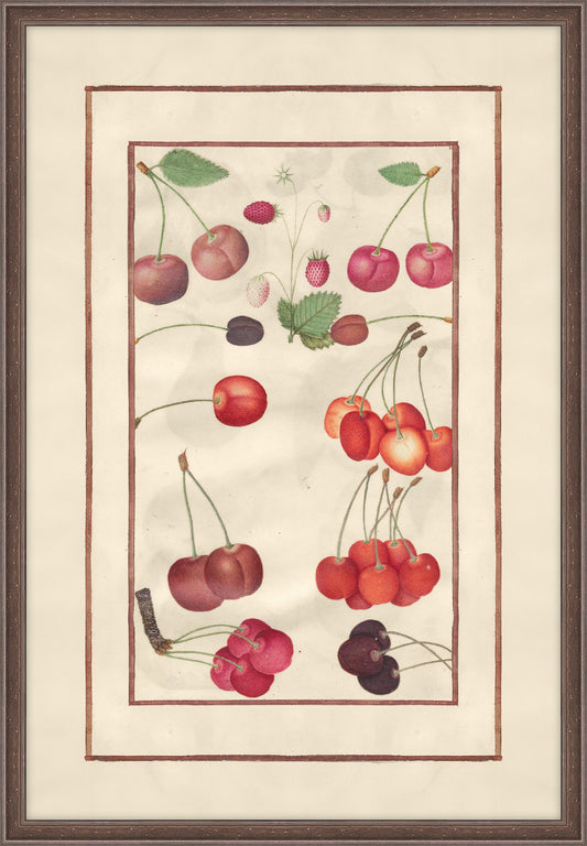 Cherries and Strawberries