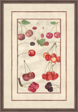 Cherries and Strawberries