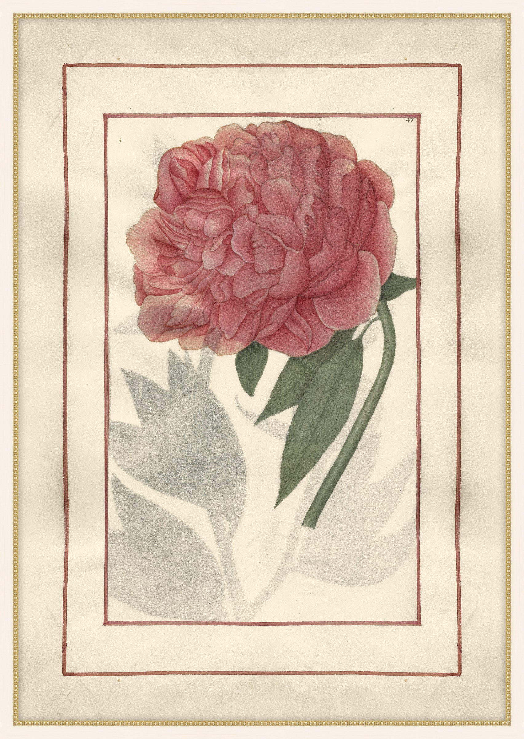 Red Peony with Beautiful Border I, Jean Le Roy de la Boissière