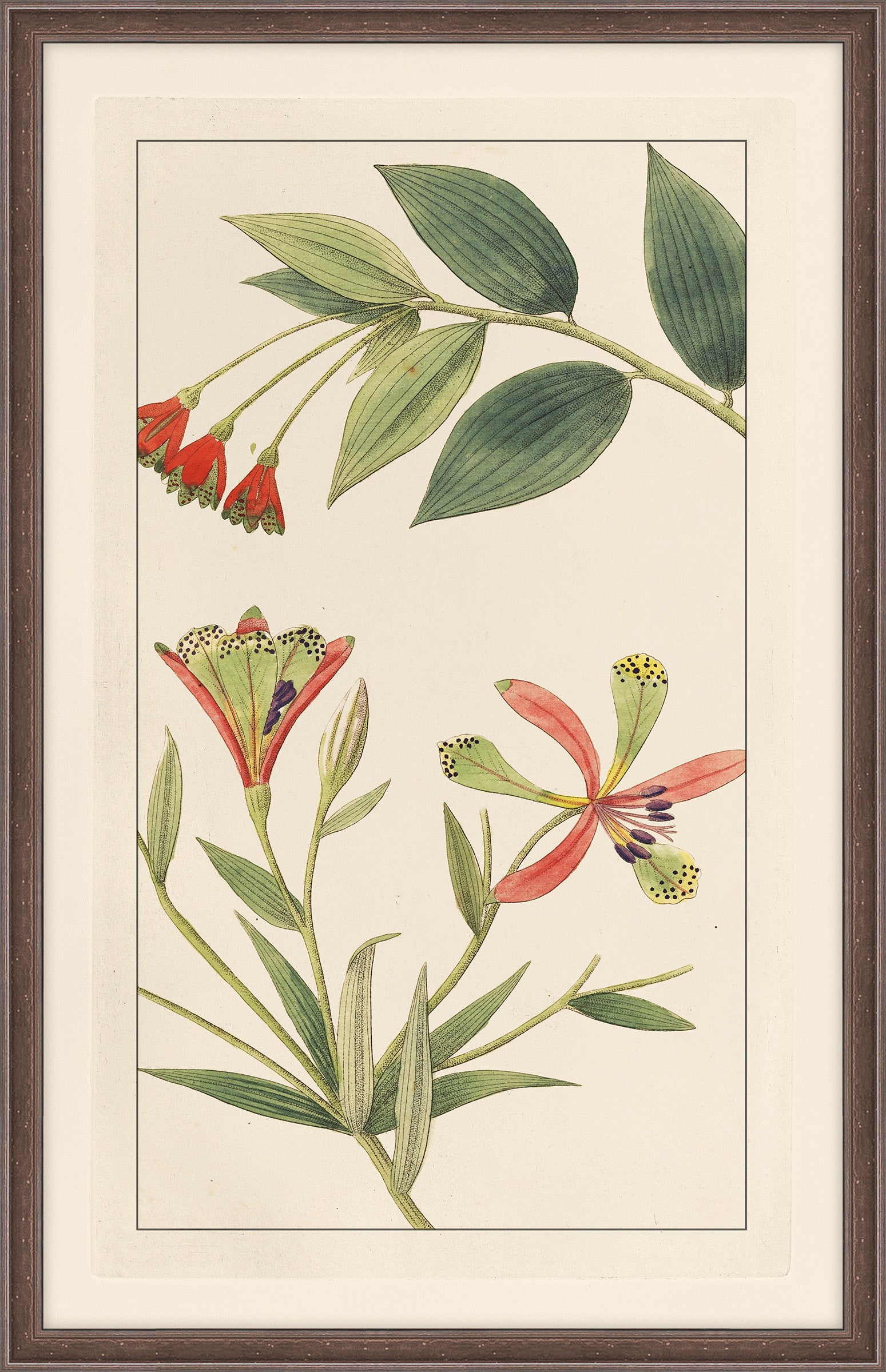 Rachels's Tropicals III