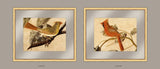 Audubon's Cardinal Grosbeaks, Set of Two