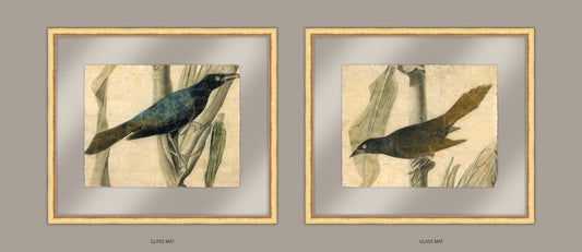 Audubon's Purple Grackles, Set of Two