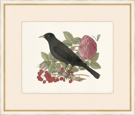 Birds, Blooms, and Bugs I