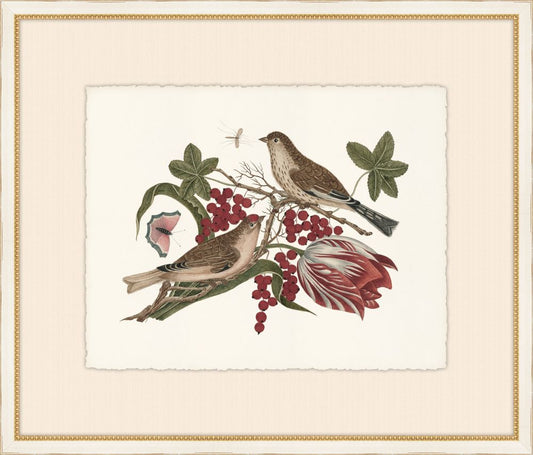 Birds, Blooms, and Bugs II