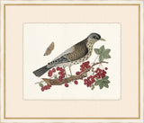 Birds, Blooms, and Bugs III