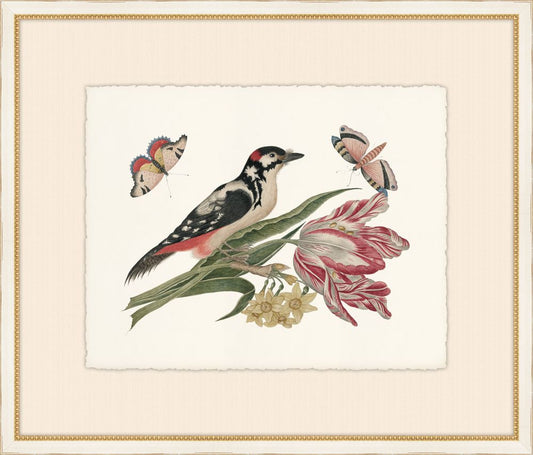 Birds, Blooms, and Bugs IV