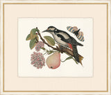 Birds, Blooms, and Bugs VI