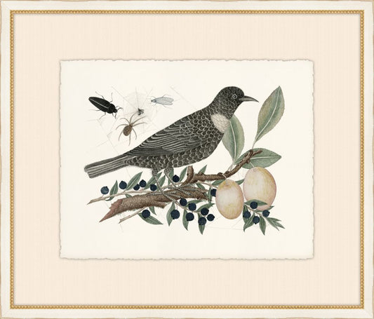 Birds, Blooms, and Bugs VIII