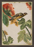 Goldfinch I