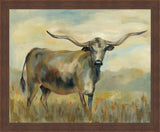 Longhorn Cow