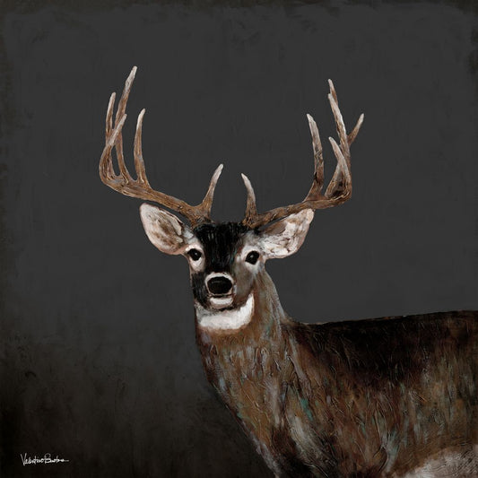 Country Buck Boxed Canvas
