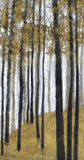 Towering Trees II Boxed Canvas