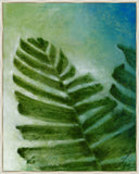Palm Frond II