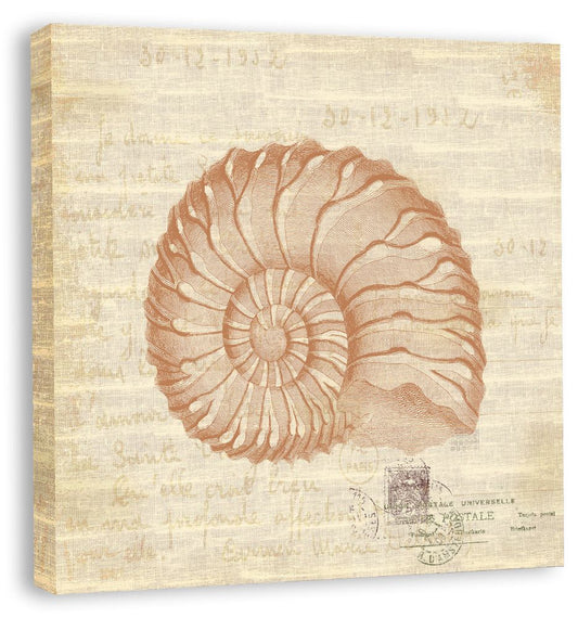 Shells I in Bittersweet Linenin Reverse on canvas