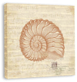 Shells I in Bittersweet Linenin Reverse on canvas