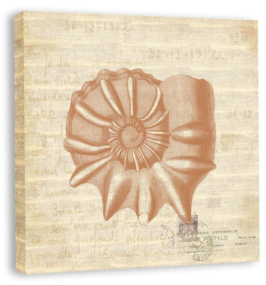 Shells II in Bittersweet Linen in Reverse on canvas