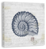 Shells I in Navy Linen in Reverse on canvas