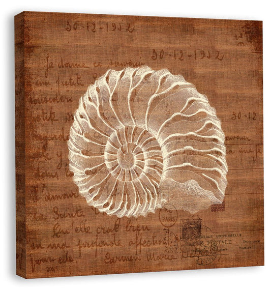 Shells I in Bittersweet Linen