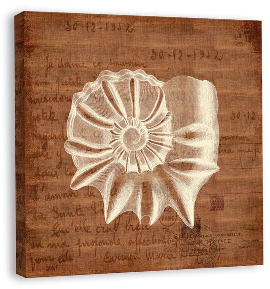 Shells II in Bittersweet Linen