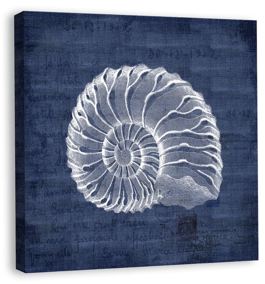 Shells I in Navy Linen