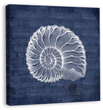 Shells I in Navy Linen