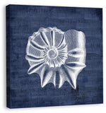 Shells II in Navy Linen