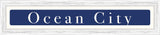 Ocean City - White on Navy (Distressed White)