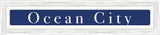 Ocean City - White on Navy (Distressed White)