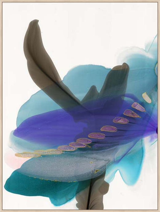 Flowing Colors and Organic Forms in Gallery Natural  Grande