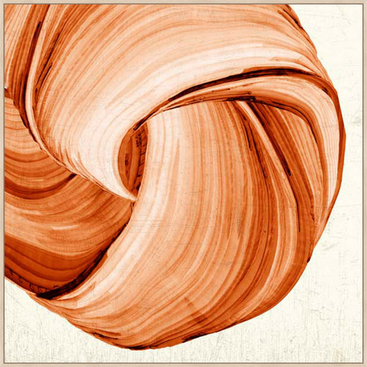 Orange Tango II in Gallery Neurtral  Grande