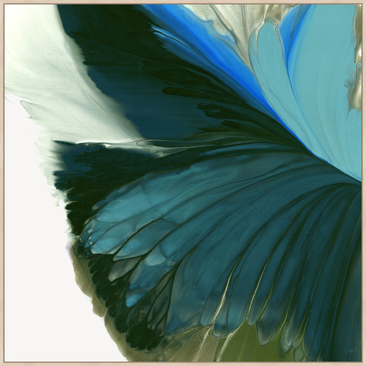 Blue Wings Unfolding in Light in Gallery Maple  Grande