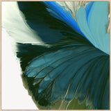 Blue Wings Unfolding in Light in Gallery Maple  Grande