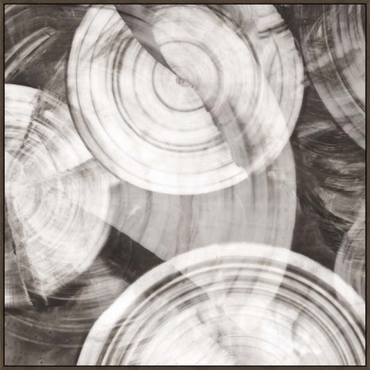 Timeless Rings II in Gallery Espresso