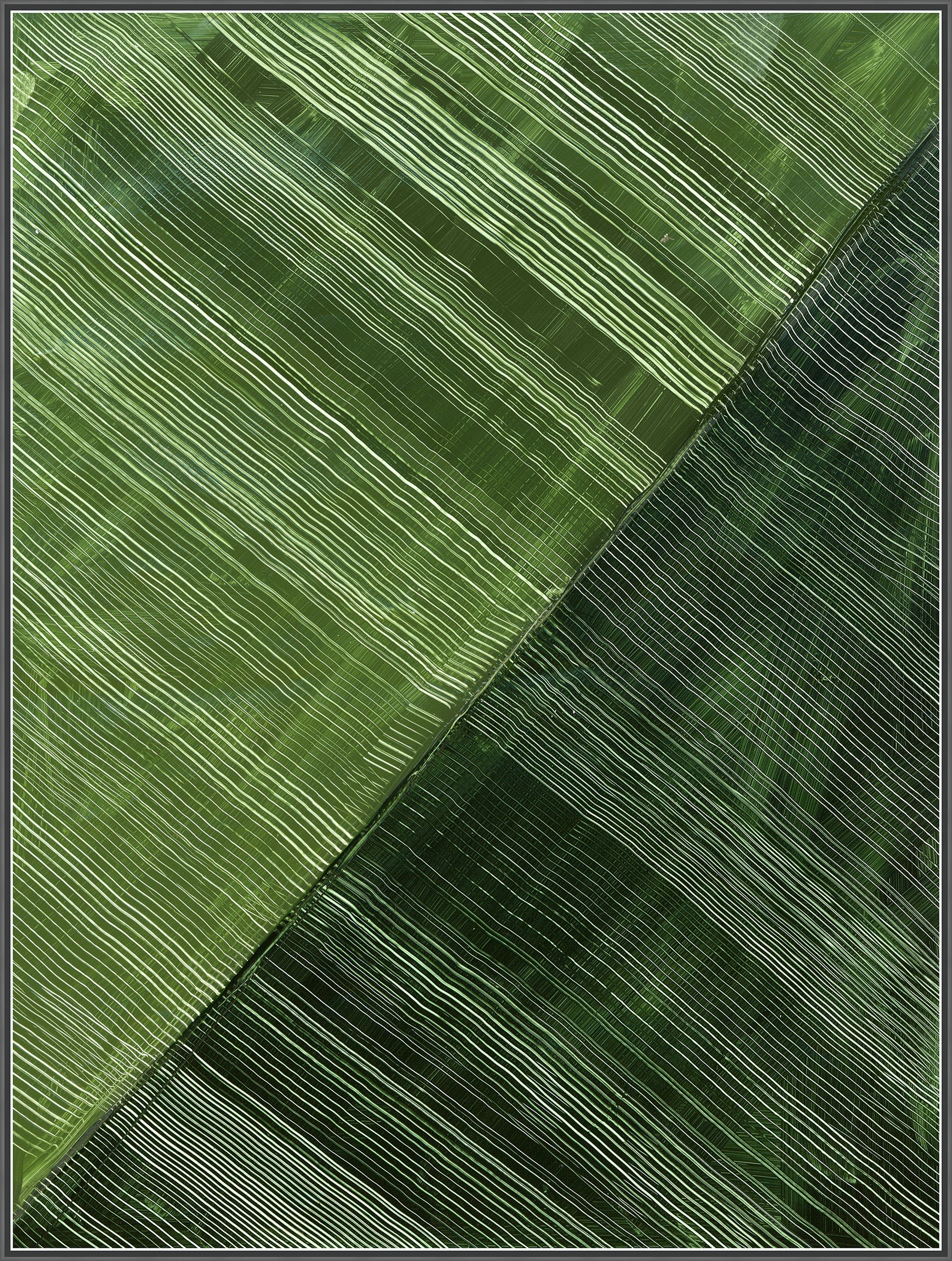 Green Stripes in Parallel Harmony II on Canvas