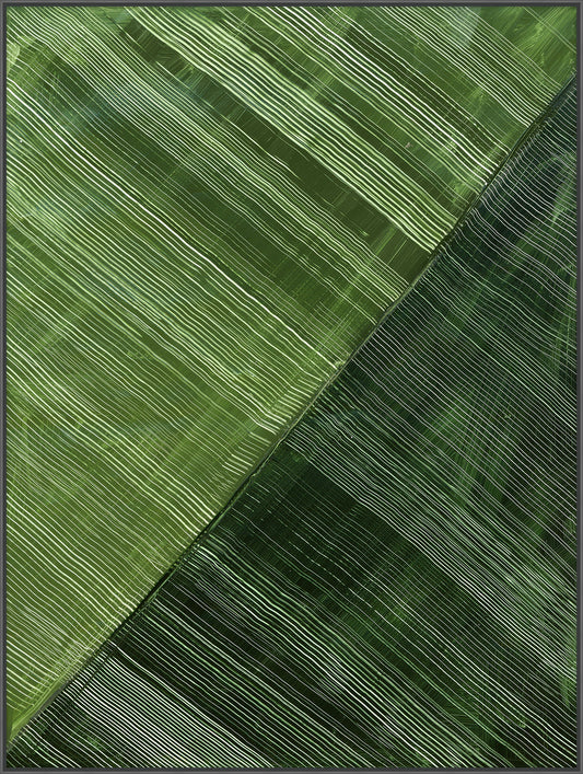 Green Stripes in Parallel Harmony II