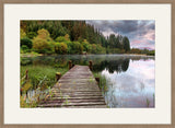 Fall Morning