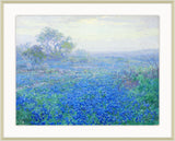 Blue Bonnets on a Cloudy Day