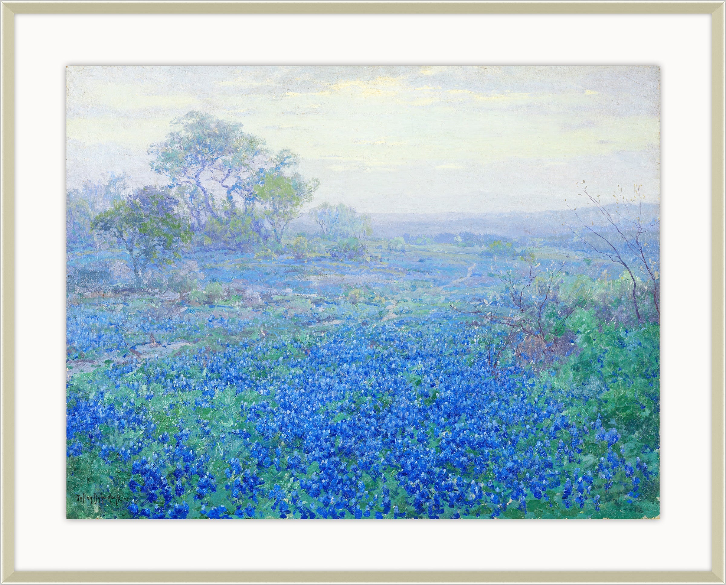 Blue Bonnets on a Cloudy Day