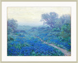 Blue Bonnets at Sunrise