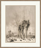 Springtime Paradise Valley, George Burr, 1927
