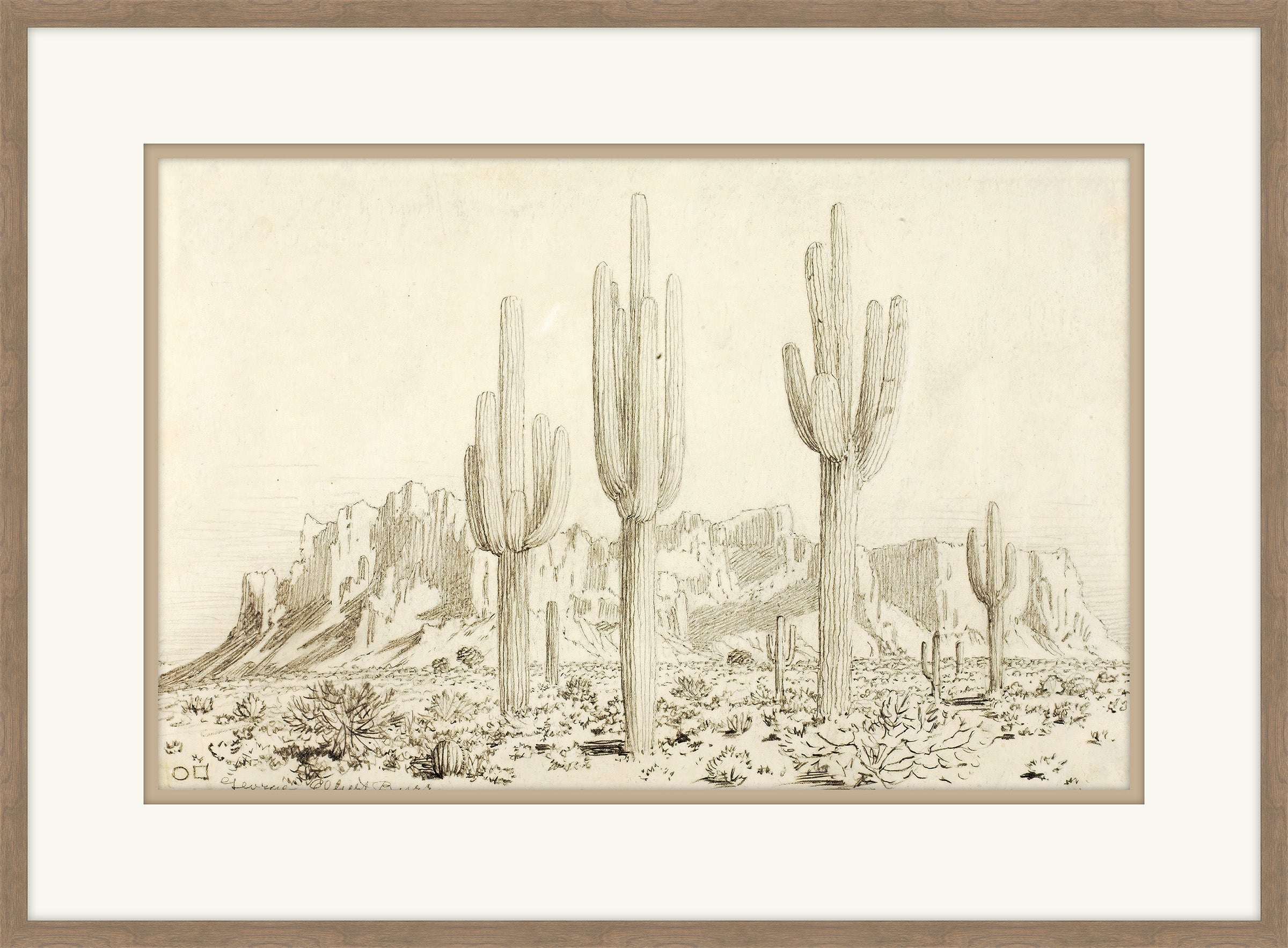 Desert Sentinels, George Burr, 1930