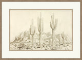 Desert Sentinels, George Burr, 1930