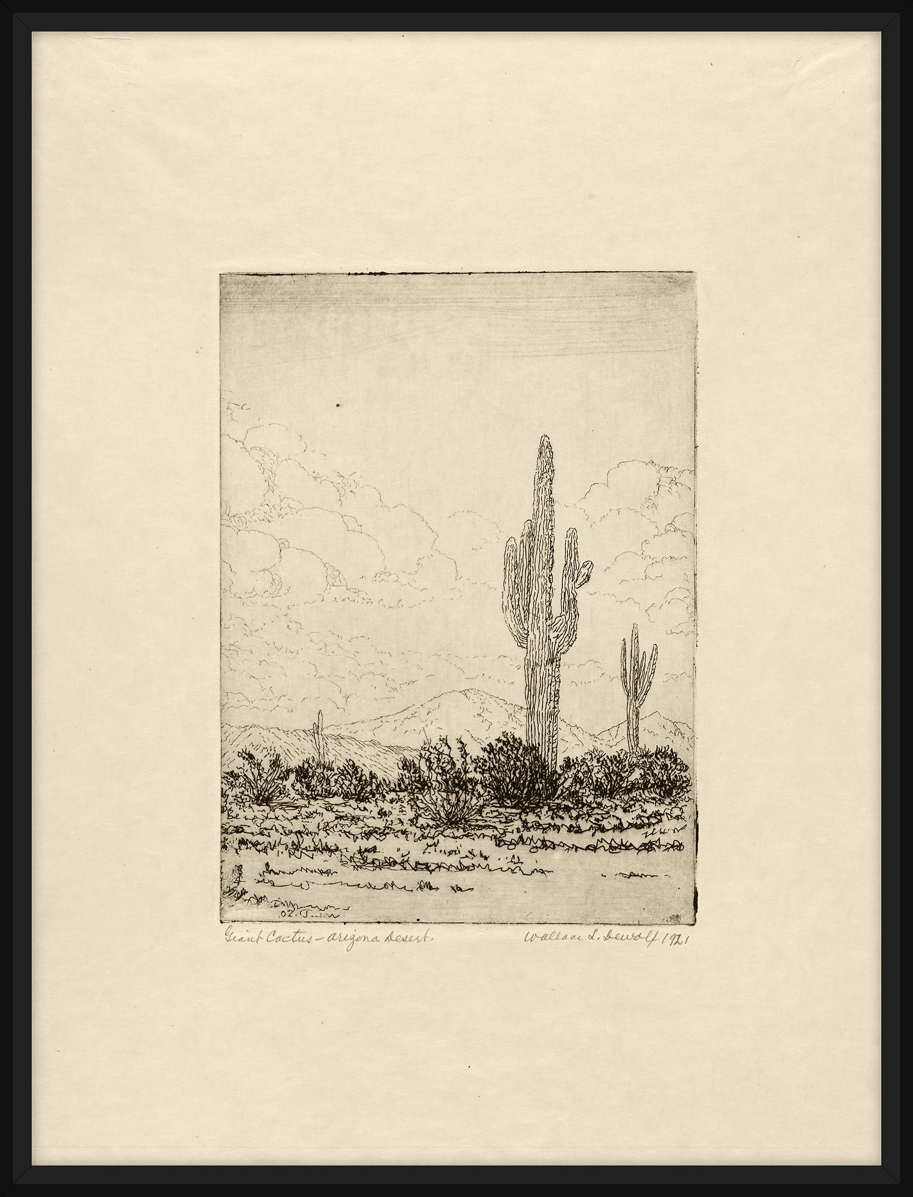 Giant Cactus, Wallace DeWolf, 1921
