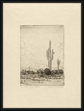 Giant Cactus, Wallace DeWolf, 1921