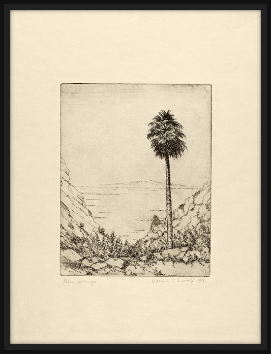 Palm Springs, Wallace DeWolf, 1918